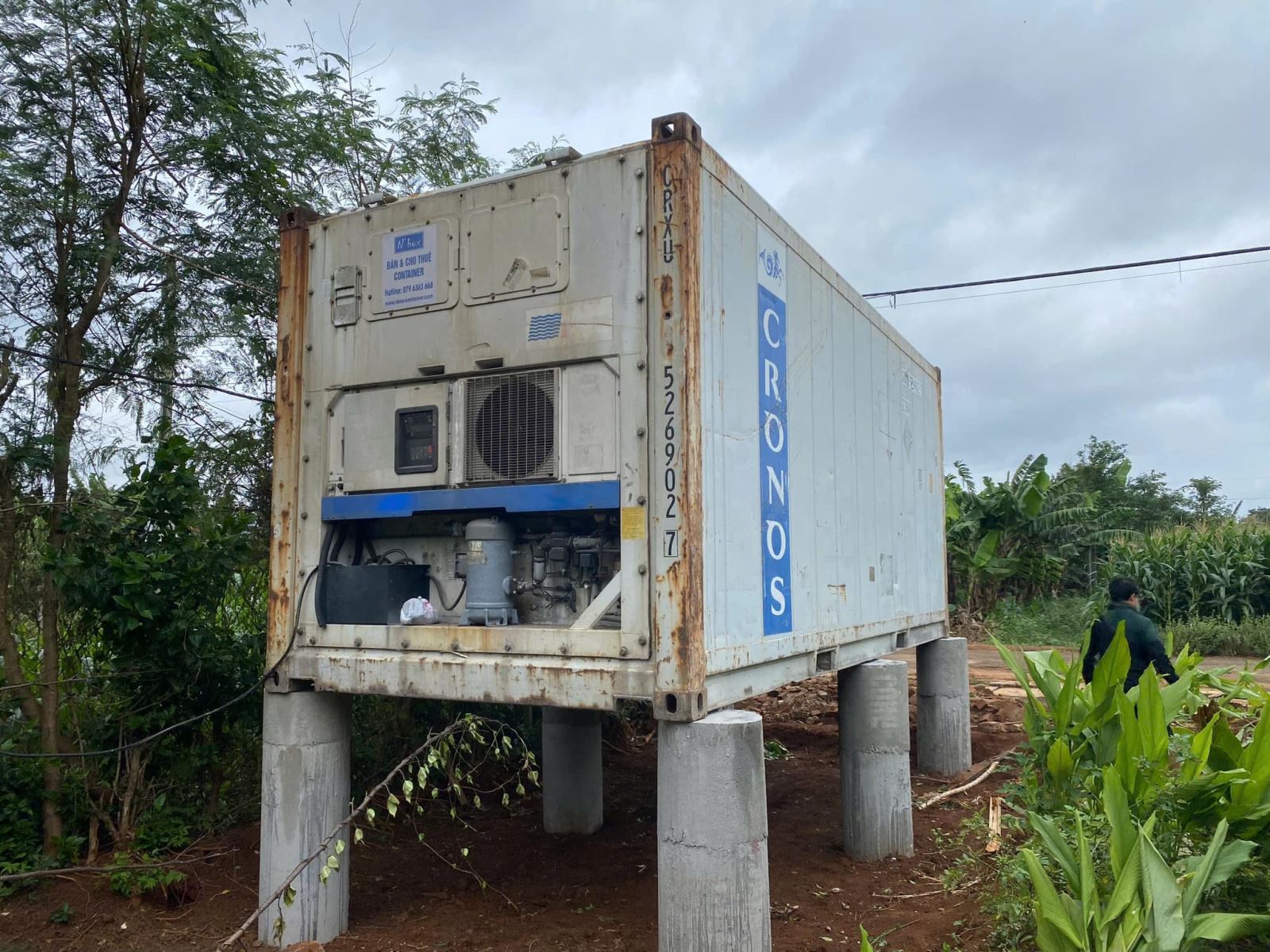 cap-ban-container-lanh-tai-tay-ninh